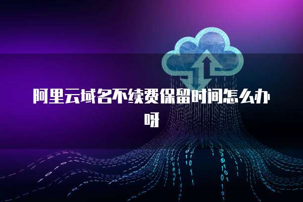 新購服務器與互聯網域名注冊問題解決方案